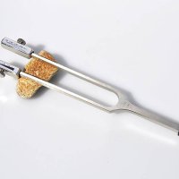 Rydel-und-Seiffer-Vibrationsgabel: Medizinisches Diagnoseinstrument