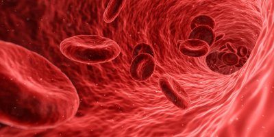 Blutgruppendiät: Ansatz und Prinzip