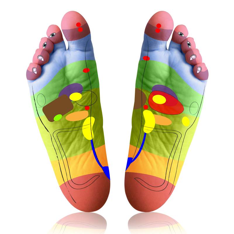 Reflexzonentherapie: Stimulation von Hautbereichen | Therapie-Lexikon